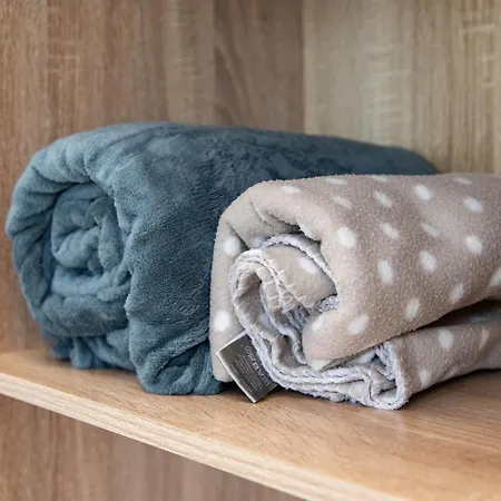 Le Petit Beout * 卢德